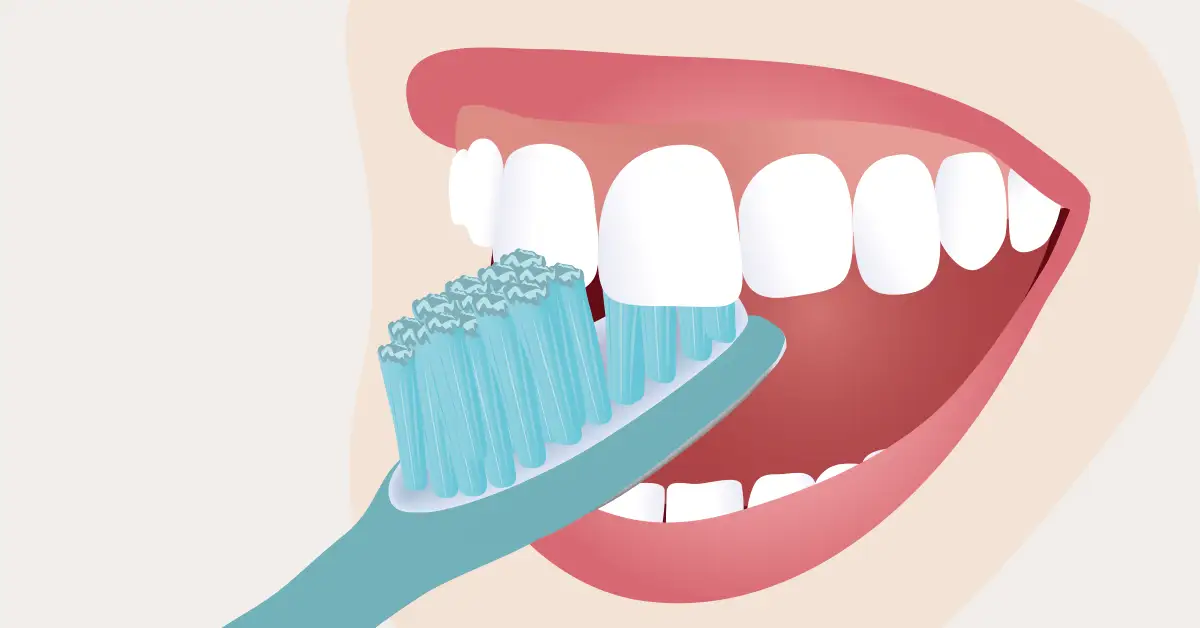 Zahnputztechniken: Zahnbürste richtig nutzen